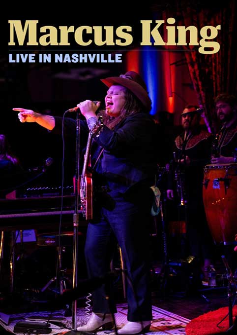 Musician performing live on stage, Nashville.