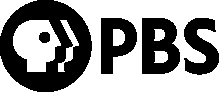 Thin black horizontal bar on white background